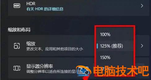 windows11缩放调到500怎么调回来 windows11 缩放 系统教程 第2张