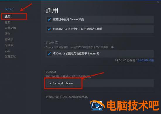 dota2国服启动项设置方法 dota2如何设置国服启动 应用技巧 第2张