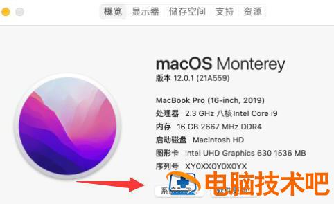 苹果电脑型号在哪里查看 苹果电脑去哪里看型号 电脑技术 第3张