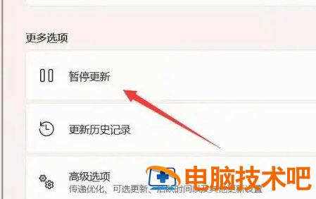 windows11自动升级怎么关闭 windows10自动升级关闭 系统教程 第2张