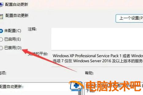 windows11自动升级怎么关闭 windows10自动升级关闭 系统教程 第3张