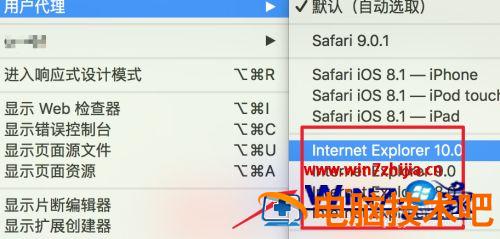 苹果电脑怎么登录IE浏览器 怎么登陆苹果浏览器 应用技巧 第6张