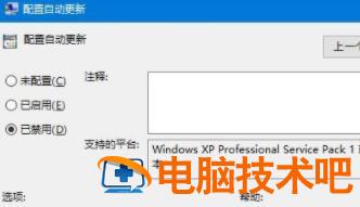 怎么不自动更新windows11 怎么不自动更新软件 系统教程 第2张