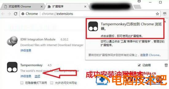 谷歌浏览器无法下载油猴怎么办 为什么谷歌浏览器下载不了油猴 应用技巧 第5张