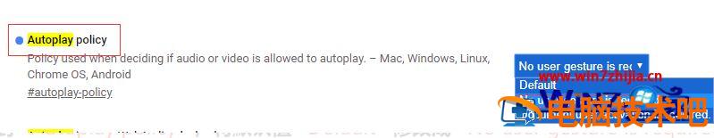 谷歌浏览器video自动播放无效怎么回事 浏览器不支持video怎么办 应用技巧 第4张