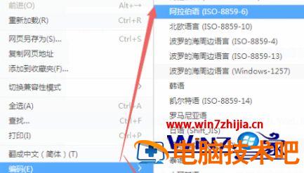 谷歌浏览器55版本怎样查看编码 谷歌浏览器版本号55以上什么意思 应用技巧 第8张