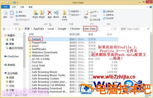 谷歌提示您的个人资料来自新版谷歌浏览器如何解决 谷歌提示个人资料错误 应用技巧 第6张