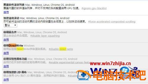 谷歌浏览器字体模糊怎么办 chrome字体模糊 应用技巧 第2张