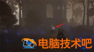 艾尔登法环海市蜃楼魔法师塔怎么进 系统教程 第4张