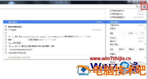 谷歌浏览器怎么查看历史浏览记录 谷歌浏览器怎么查询浏览记录 应用技巧 第7张