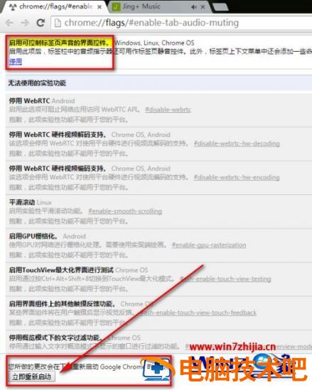 谷歌浏览器网页静音的方法 谷歌浏览器怎么网页静音 应用技巧 第3张