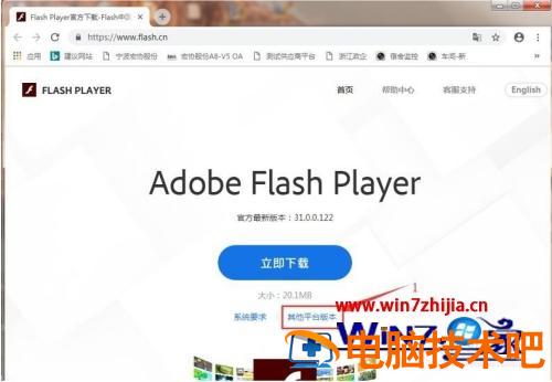 谷歌浏览器提示未安装flash怎么办 谷歌安装flash后网页提示还是没有安装 应用技巧 第3张