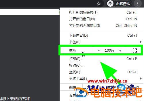 谷歌浏览器缩放怎么设置 谷歌浏览器如何缩放 应用技巧 第5张