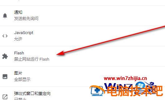 谷歌浏览器flash怎么永久允许 谷歌浏览器永久允许网站用flash 应用技巧 第6张