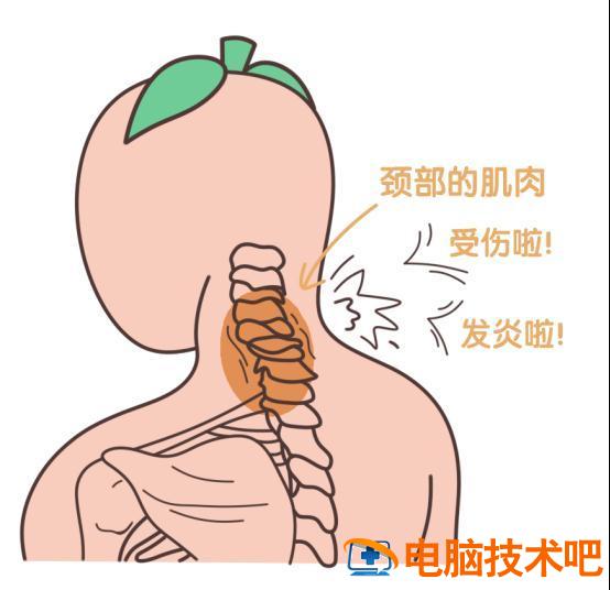 电脑还原错误8 电脑还原错误怎么解决 系统教程 第2张