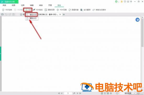 迅读PDF大师怎么添加水印 迅读pdf大师怎么去水印 软件办公 第5张