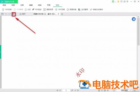 迅读PDF大师怎么添加水印 迅读pdf大师怎么去水印 软件办公 第12张