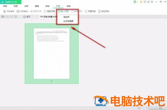 迅读PDF大师怎么插入页面 迅读pdf大师使用教程 软件办公 第5张