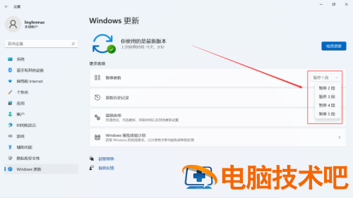 win11怎么关闭自动更新 win11怎么关闭系统自动更新 系统教程 第3张