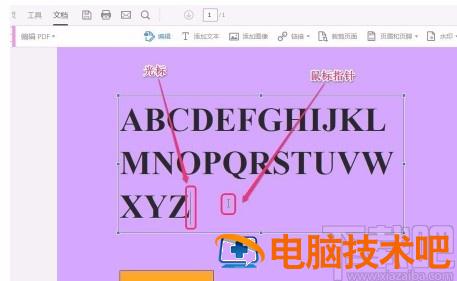 acrobat怎么编辑PDF acrobat怎么编辑文字 软件办公 第5张