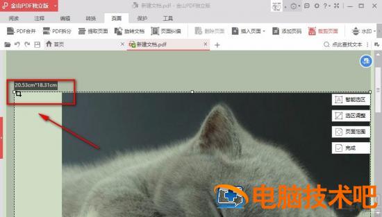 金山pdf如何裁剪页面 金山pdf如何编辑 软件办公 第6张