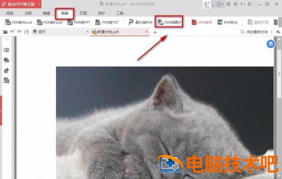 金山pdf怎么转换成jpg图片 金山pdf转换成word免费版 软件办公 第4张