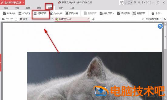金山pdf怎样提取单独页面 金山pdf截取其中几页 软件办公 第4张