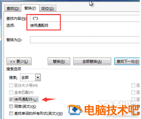 Word通配符使用技巧教程 软件办公 第3张