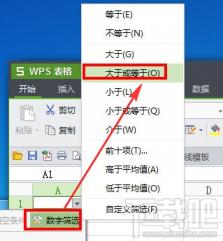 wps表格怎么筛选数据 wps表格怎么筛选数据类型 软件办公 第3张