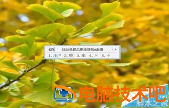 excel2016怎么快速打乘除符号 excel加减乘除符号怎么打出来 软件办公 第4张