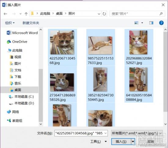 Word2016缩印照片怎么操作 word2007缩印怎么设置 软件办公 第4张