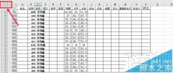 excel2016怎么用分类汇总功能 软件办公 第5张