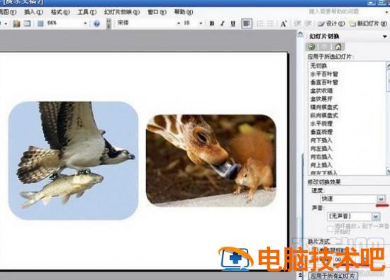 PowerPoint2016电子相册如何制作 ppt2010相册如何制作 软件办公 第9张