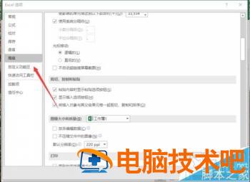 Excel2016要怎么取消单元格右下角显示粘贴的选项 软件办公 第5张