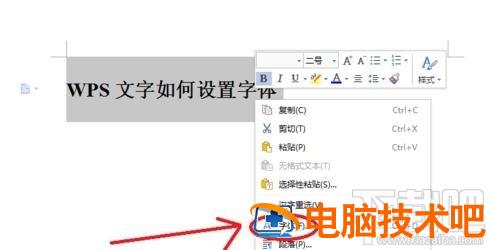 WPS文字中怎么设置字体的大小 wps文档字体一般设置多大 软件办公 第3张