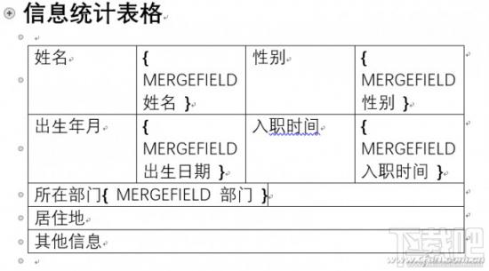 Excel2016怎么才能实现快速摘录做个人信息调查表 软件办公 第10张