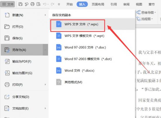 如何将Word文件转换成WPS格式 wps文件格式怎么转换成word 软件办公 第3张
