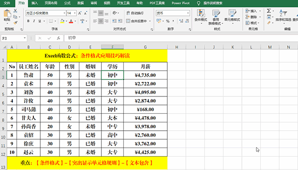 Excel2019中使用条件格式分析数据的7类方法教学 软件办公 第5张