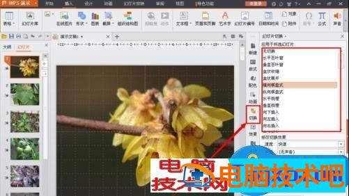 wps中的ppt制作相册的方法 wps2019怎么制作相册ppt 软件办公 第3张