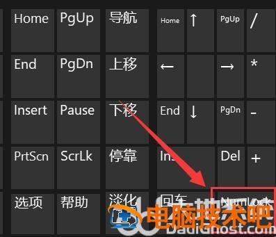 win11系统打不了字怎么办 win10系统打不了字怎么办 系统教程 第2张