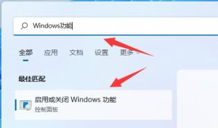 win11hyper-v怎么打开 win10hyperv怎么用 系统教程 第2张