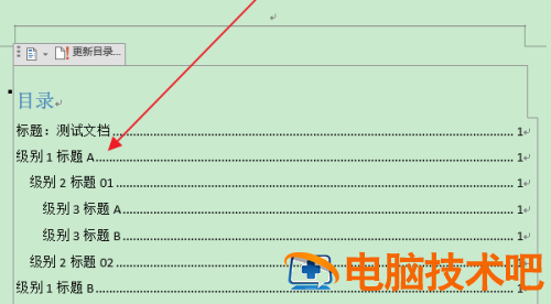 Word怎么清除指定级别目录项的双删除线 word目录怎么删除页码 软件办公 第12张