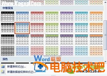 套用Excel2007表格样式进行数据汇总 excel利用套用表格样式进行格式化 软件办公 第2张