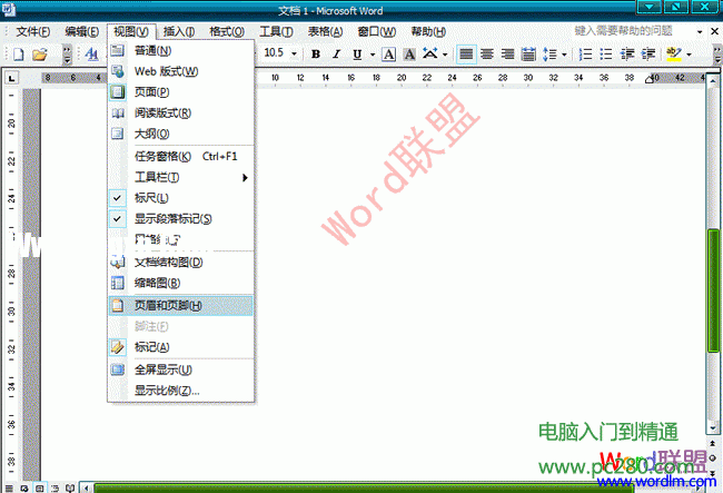 Word2003文档怎么样去水印 word文档去水印的办法 软件办公 第3张