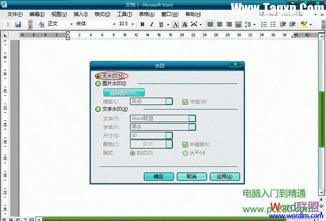 Word2003文档怎么样去水印 word文档去水印的办法 软件办公 第2张