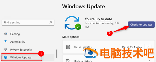 win11ntdll.dll错误怎么修复 windows10怎么修复dll 系统教程 第2张