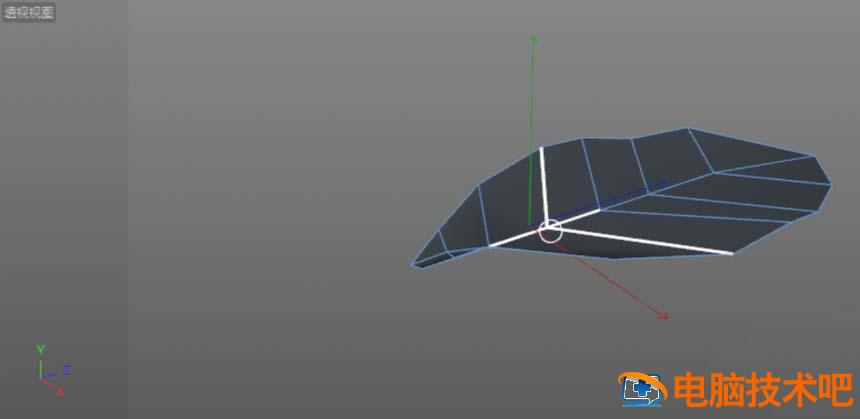 C4D建模一片绿色叶子的操作流程 c4d怎么做树叶飘动效果 软件办公 第6张