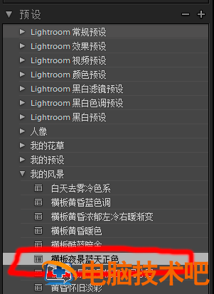 Lightroom导出保存预设的操作步骤 lightroom导出图片如何不损画质 软件办公 第2张