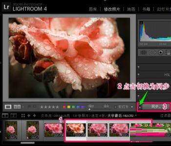 Lightroom批量处理的操作方法 lightroom批量删除 软件办公 第4张