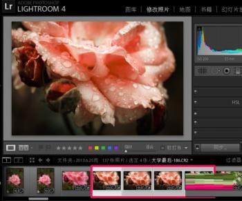 Lightroom批量处理的操作方法 lightroom批量删除 软件办公 第6张